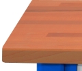 Klejonka bukowa.jpg